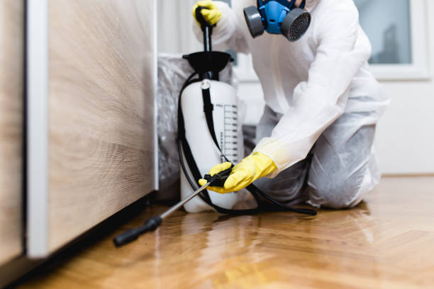 Best Local Pest Control Services  in Mead, CO