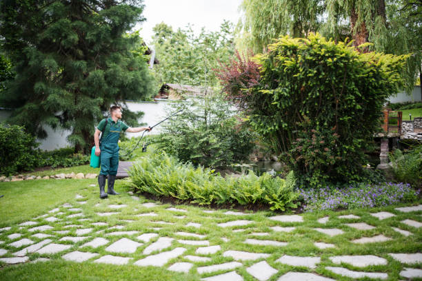 Best Ant Control Services  in Mead, CO
