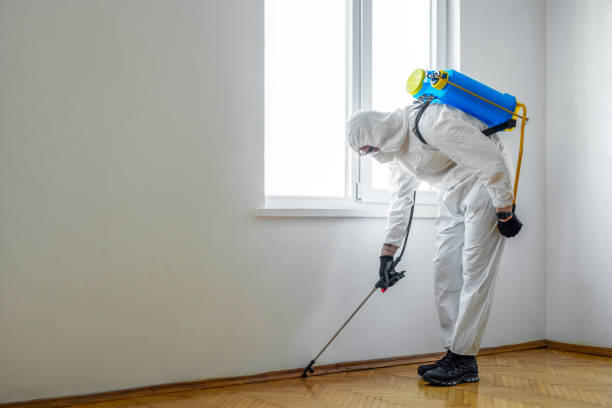 Best Wildlife Control Services  in Mead, CO