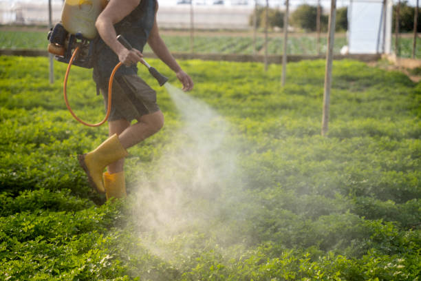 Insect Control in Mead, CO