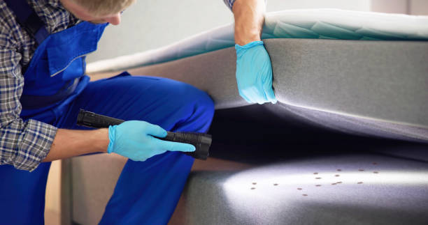 Best Mosquito Control Services  in Mead, CO