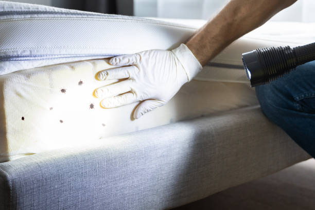 Best Commercial Pest Control Services  in Mead, CO