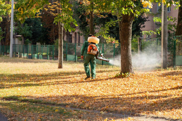 Best Wasp Removal Services  in Mead, CO