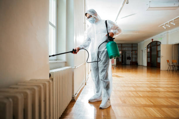 Professional Pest Control in Mead, CO