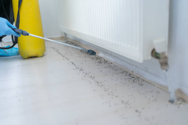 Best Pest Prevention Services  in Mead, CO